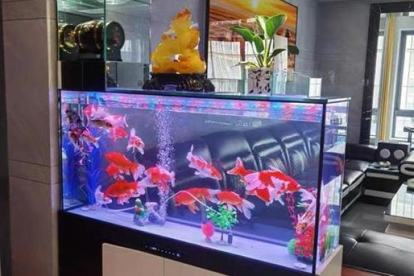 房子东面放鱼缸的风水