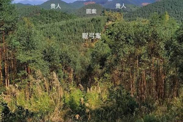 墓地设计风水的几大原则