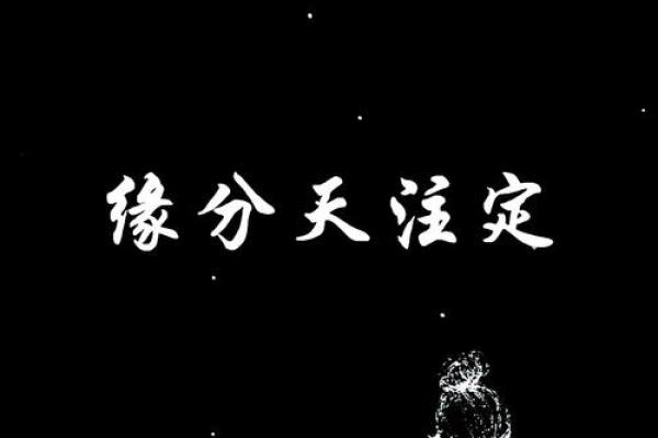 缘分是天注定姓名配对 缘份真的是天注定的-？
