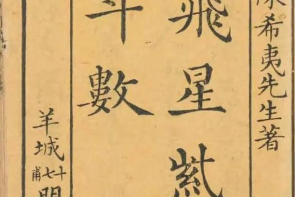 飞星四化紫薇斗数
