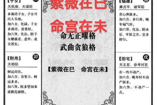 紫薇斗数文昌命宫