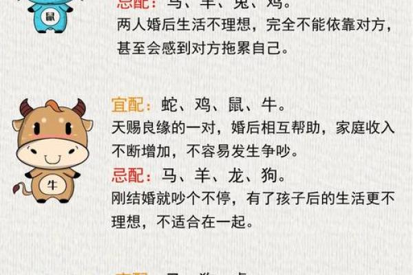 属相八字算命