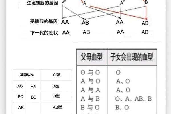 四种血型最丑陋的特质