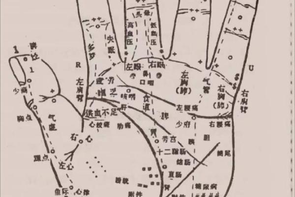 梅花易数怎么算准确方位