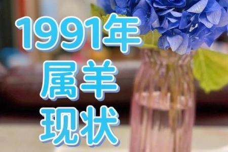 2003年属羊最佳结婚年龄 2003年属羊一生有几次婚姻