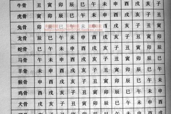 算命术中俗相什么意思