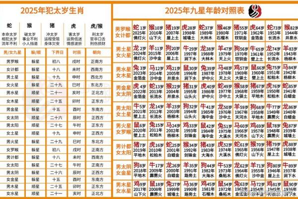 算命术中俗相什么意思