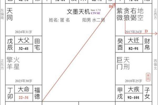 紫薇斗数手工排盘视频