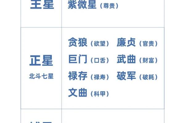 紫薇斗数手工排盘视频