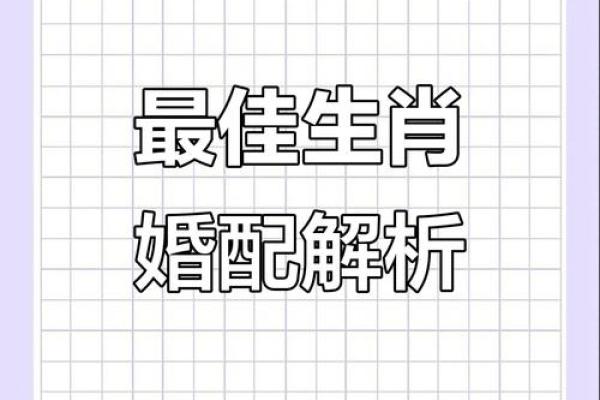 九四年属什么生肖婚配 九四年属什么生肖配对
