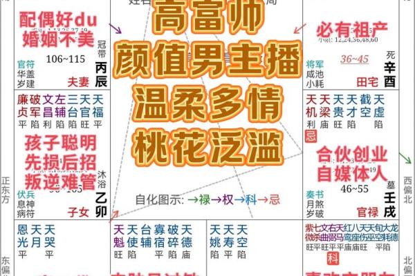 紫薇斗数测算人生