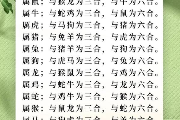 生肖马的姻缘配对，哪些生肖最合适？