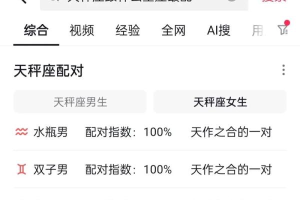 双子和天秤配对
