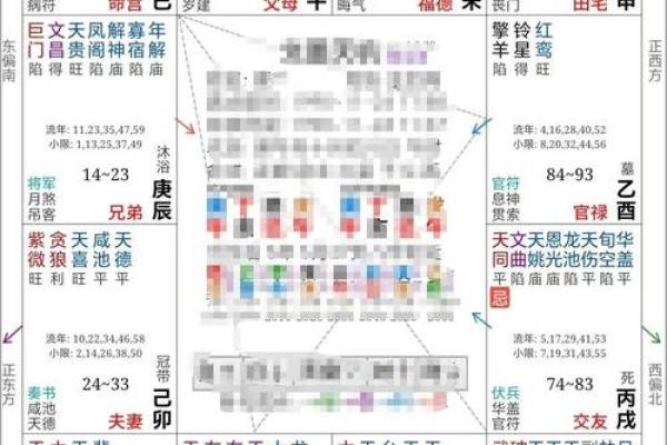 紫微斗数引出禄 紫薇命盘禄是什么意思？