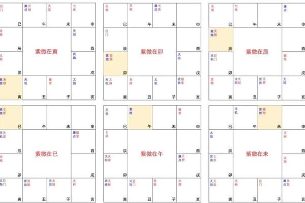 紫微斗数引出禄 紫薇命盘禄是什么意思？