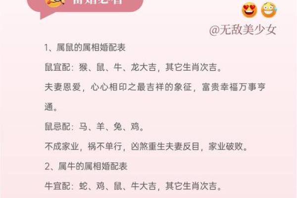 91年属什么生肖配对