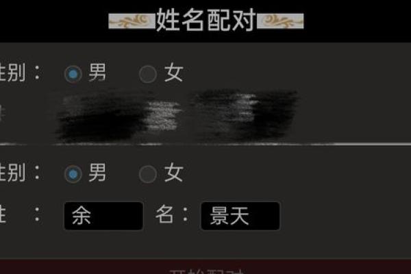 姓名配对费用查询系统 姓名配对费用查询系统官网？