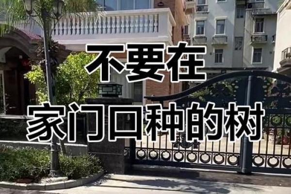 大门正确栽树方位，农村大门口栽树有讲究吗？