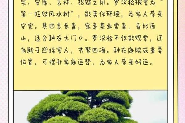 大门正确栽树方位，农村大门口栽树有讲究吗？