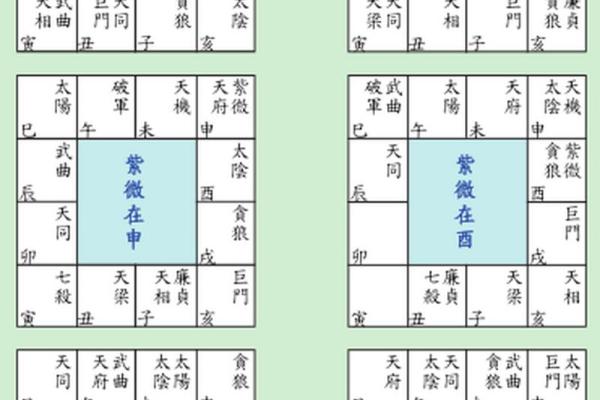 紫薇斗数生年干支