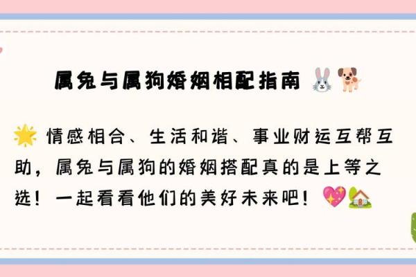 属兔的婚姻配对最佳