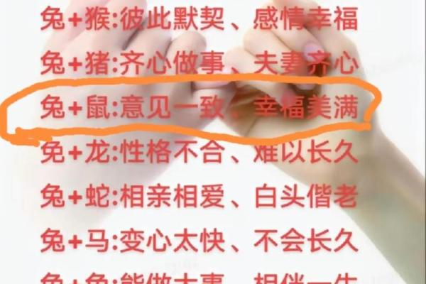 属兔的婚姻配对最佳