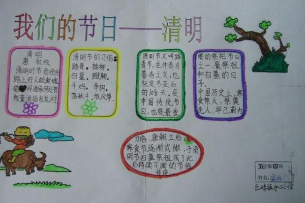 我们的节日：清明节气，做什么