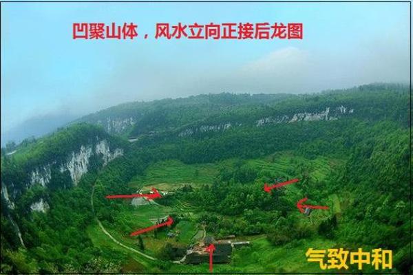 如何使用风水学中的原理对肺部气息进行优化