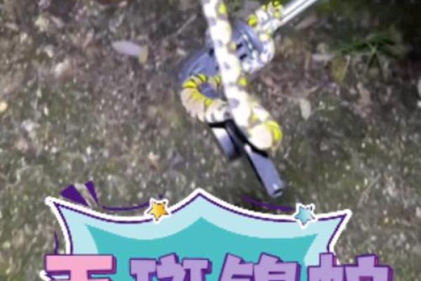 民间民俗传说：役蛇人与美女蛇