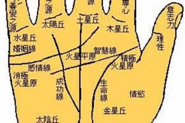 《手相学习百科》：指尖与指节
