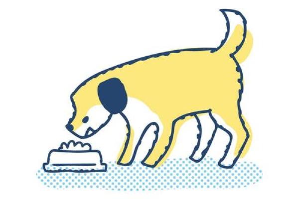 「生肖猪」的相关资讯和百科全解析