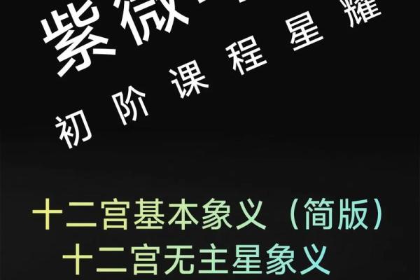 紫薇斗数天府星入十二宫