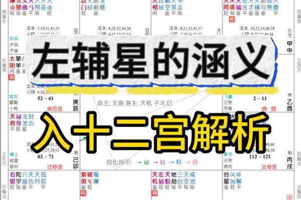 紫薇斗数天府星入十二宫