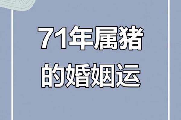 属猪的女人和什么属相最配对 属猪的女人和什么属相最配婚姻