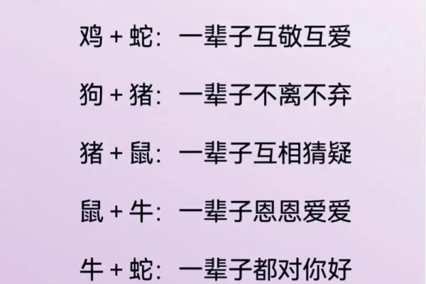 95年属猪女和什么生肖配对最好 什么时候才想要结婚