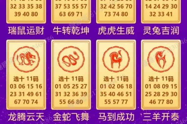 十二生肖：本命方位干净整洁，好运连连