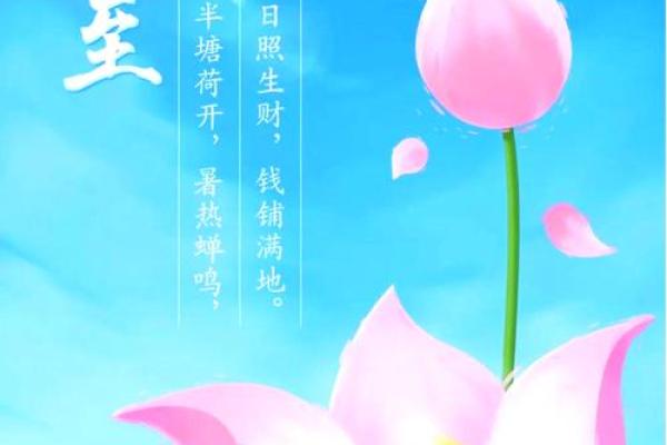夏至的寓意和象征 夏至的民间民俗