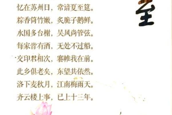 夏至的寓意和象征 夏至的民间民俗