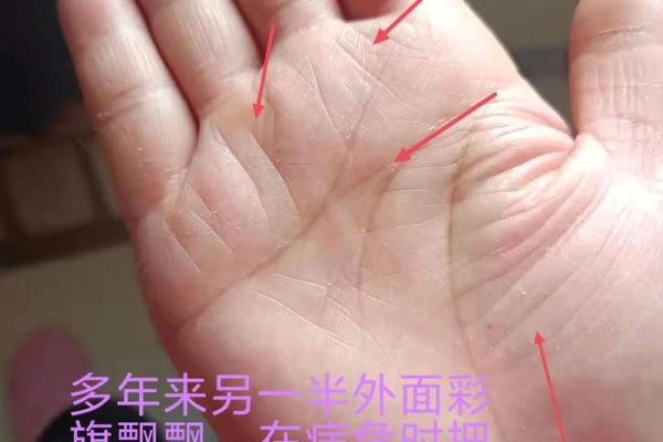 《手相学习百科》：手纹看退休