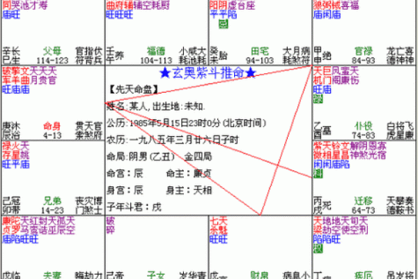 紫薇斗数贪狼化权