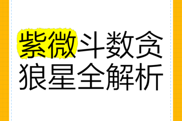 紫薇斗数贪狼化权