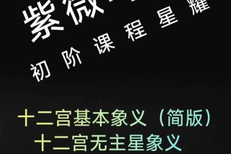 紫薇斗数天府星入十二宫