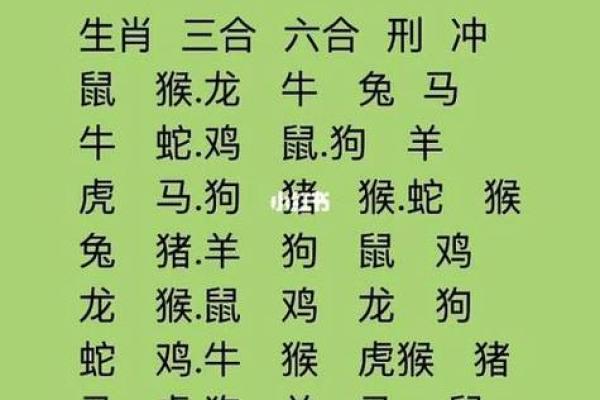 七九年属什么生肖配对
