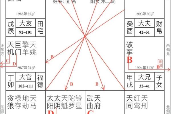 在线紫薇斗数排盘分析