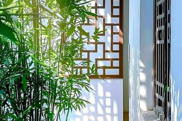 竹子在院子哪个方位好