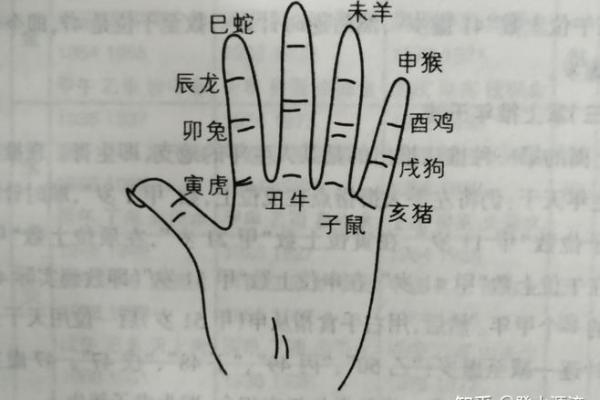 八字四柱的准确位置图