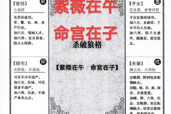 紫薇斗数紫薇入事业