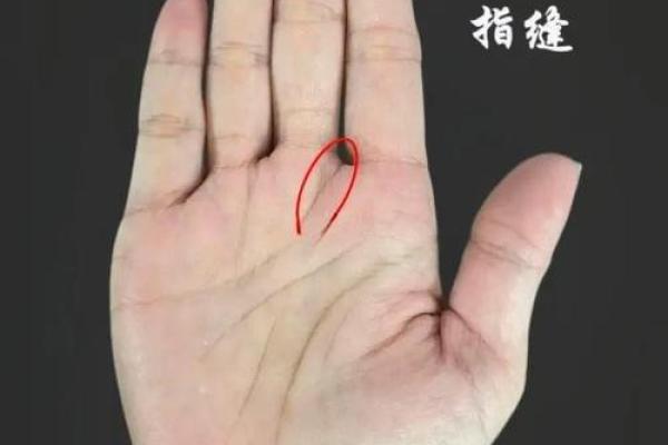 《手相学习百科》：掌丘