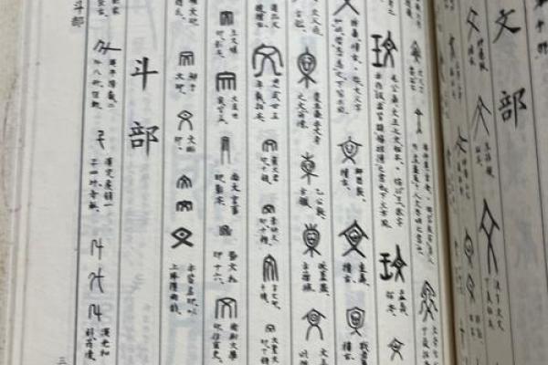 “精字典”：一本收录千万精彩含义的百科全书