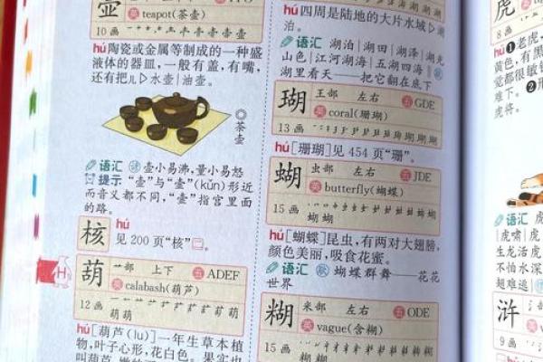 “精字典”：一本收录千万精彩含义的百科全书